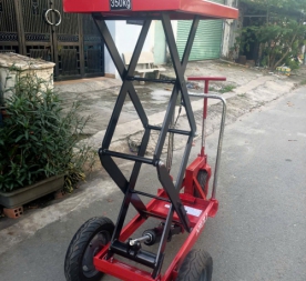 TOP NHƯNG DÒNG XE NÂNG CHẬU CẢNH BÁN CHẠY NHẤT NĂM 2025